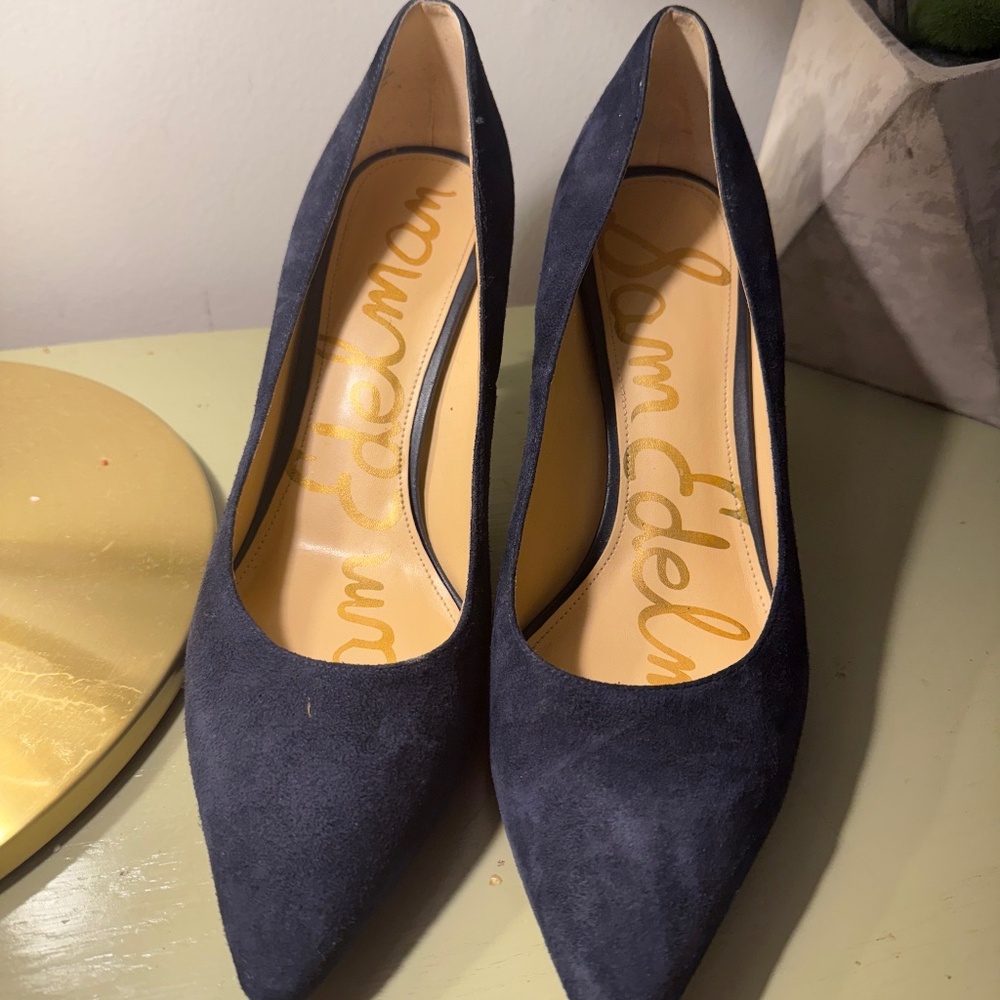 Navy Blue Sam Edelman Hazel Pointed Toe Pump